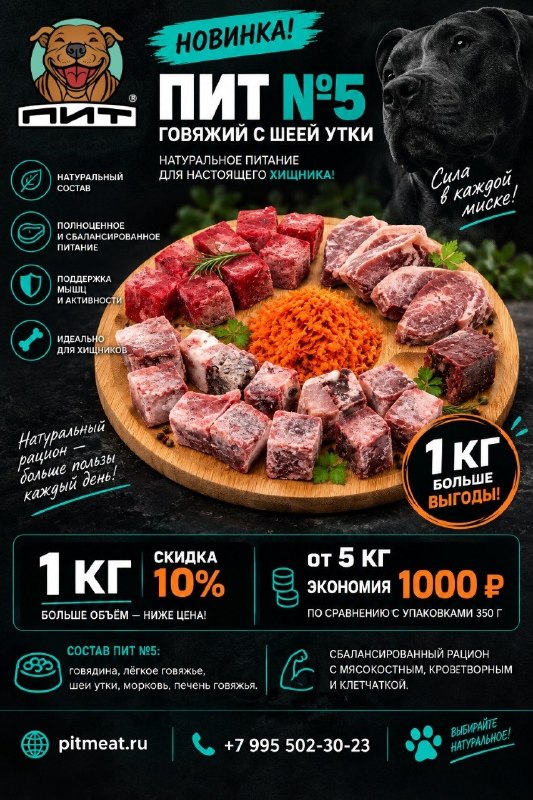 Фото из новости