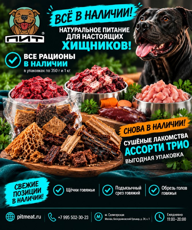 Фото из новости