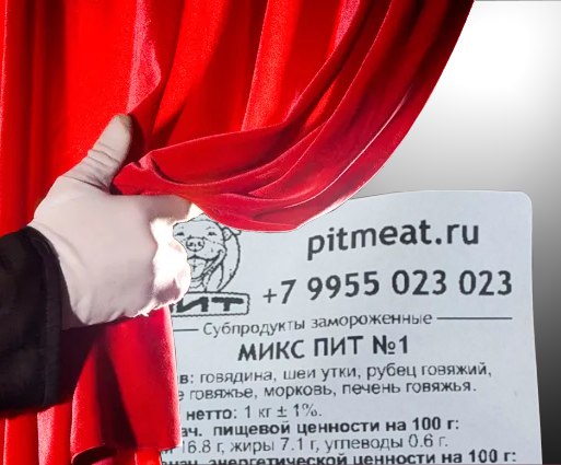 Фото из новости