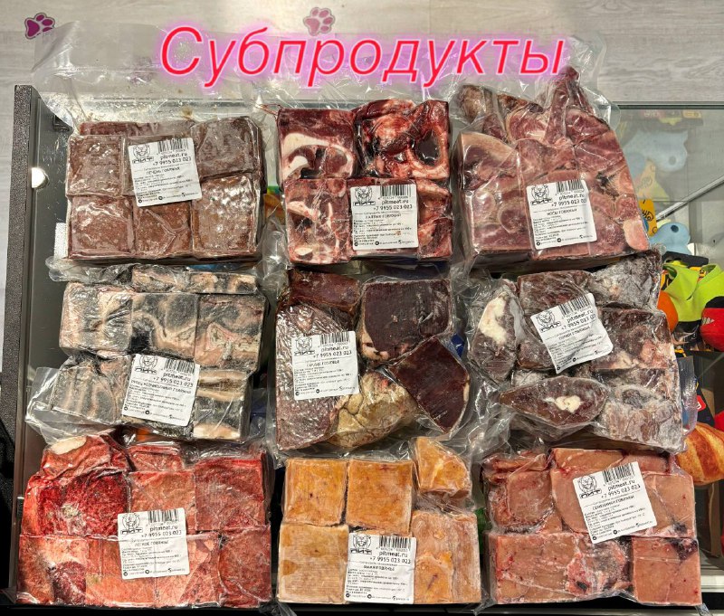 Фото из новости