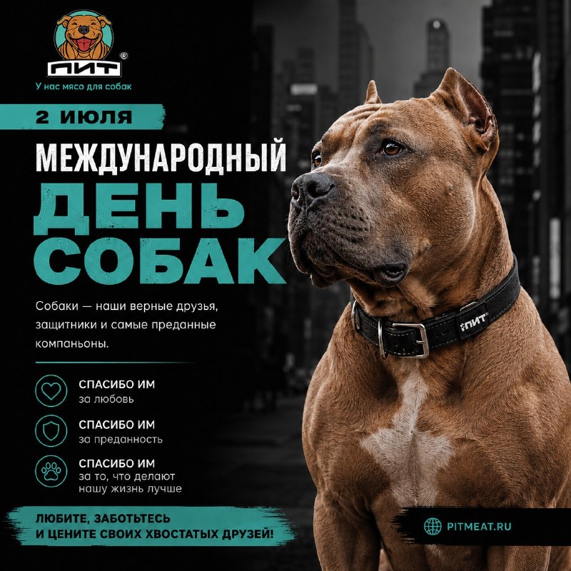 Фото из новости