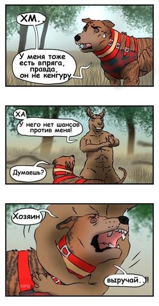 Фото из новости