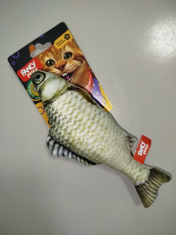 Фото из новости