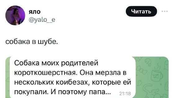 👀Мужик сшил своему собычу теплую шубу, так как тот сильно замерзал зимой.