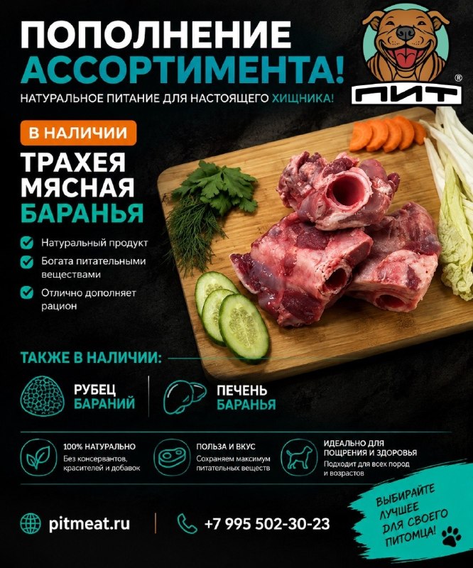 Фото из новости