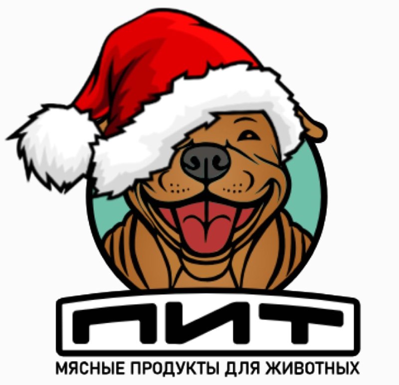 Фото из новости