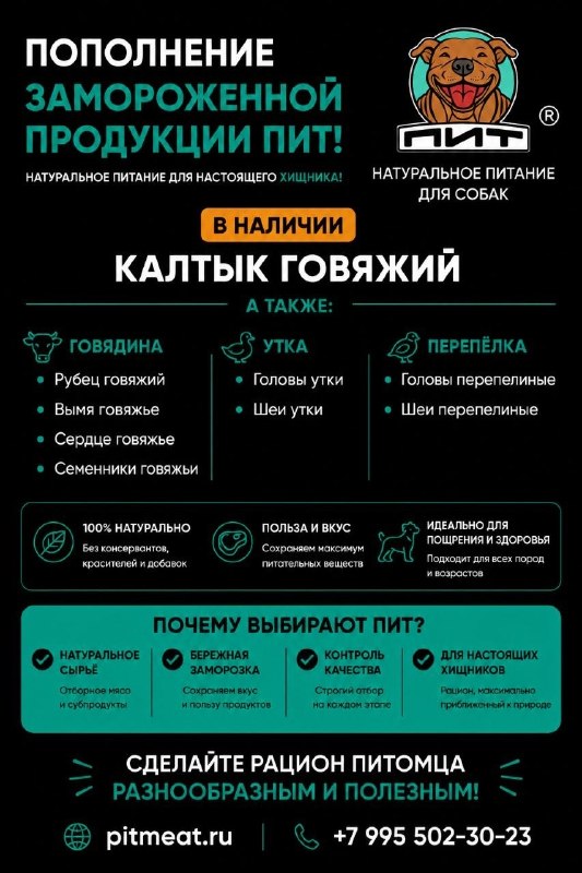 Фото из новости