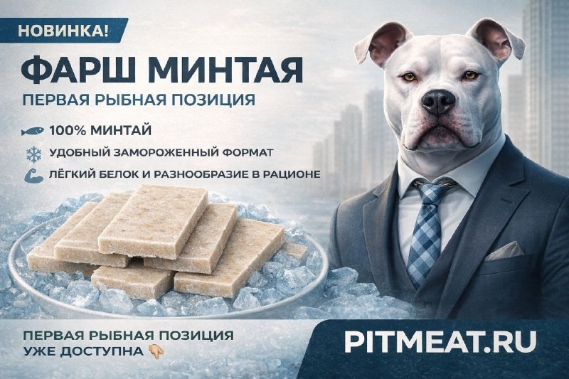 Фото из новости