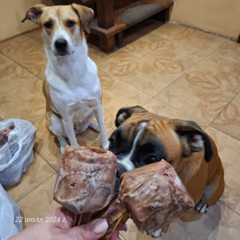 Фото из новости