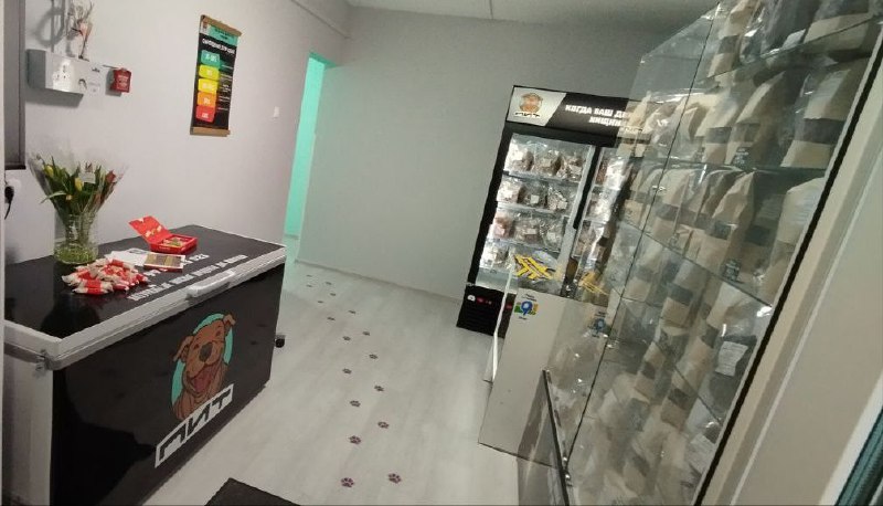 Фото из новости