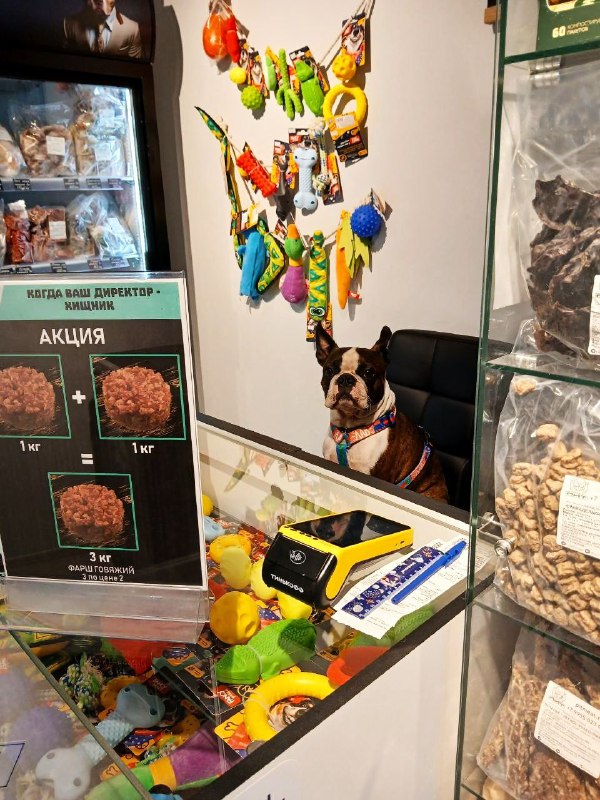 Фото из новости