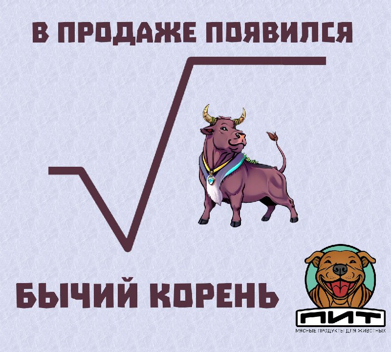 Фото из новости