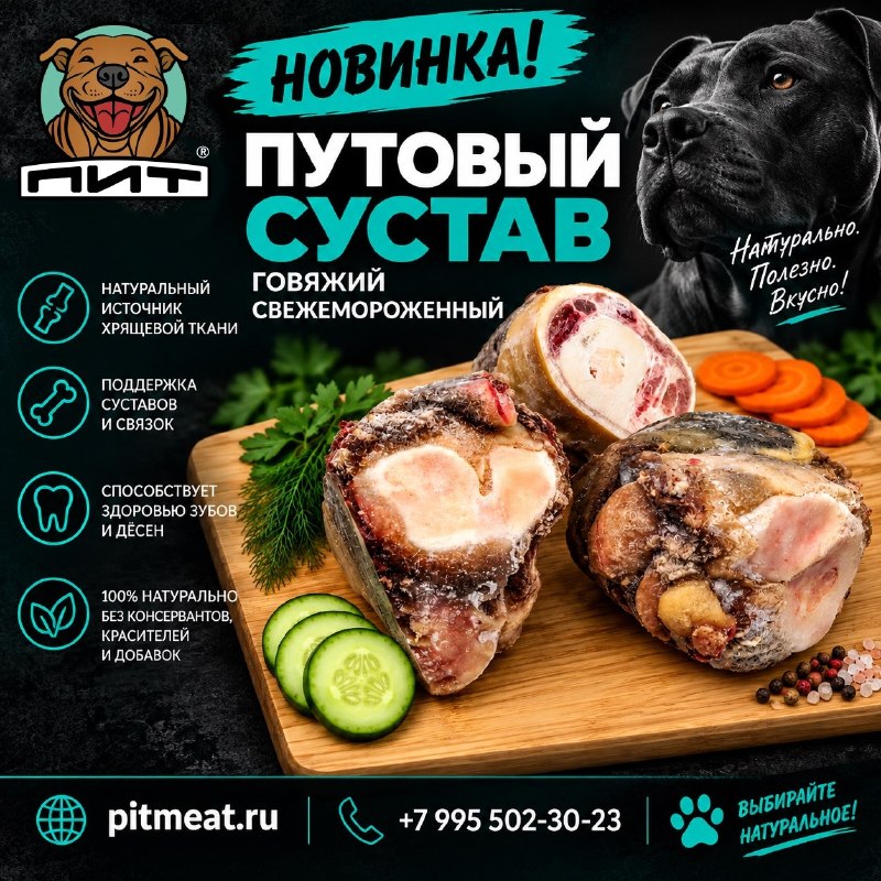 Фото из новости