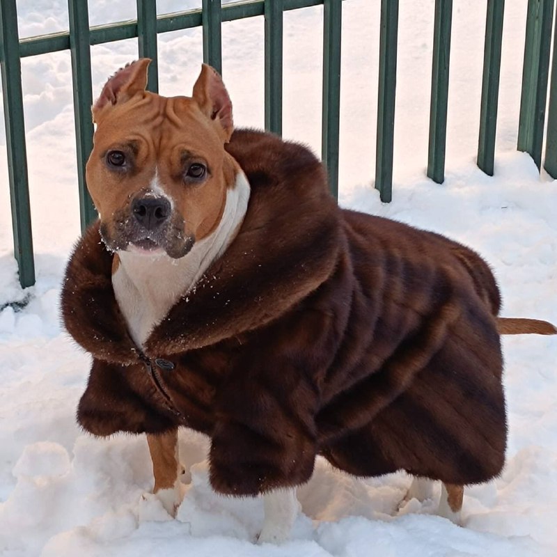 Фото из новости