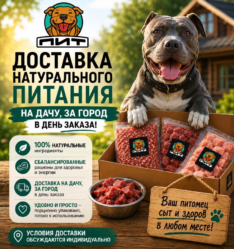 Фото из новости