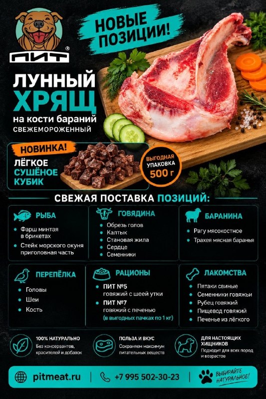 Фото из новости