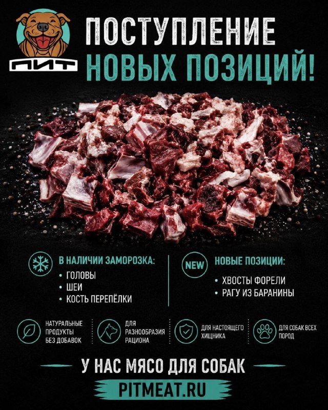 Фото из новости