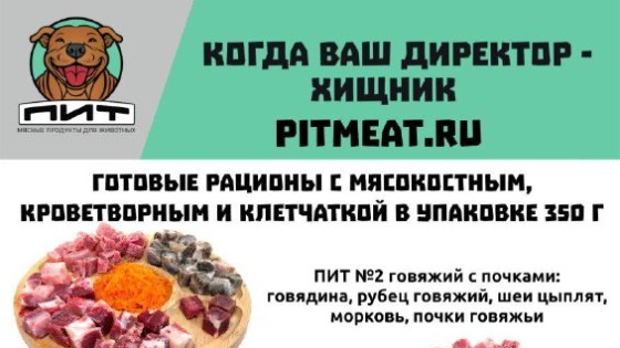 Друзья!