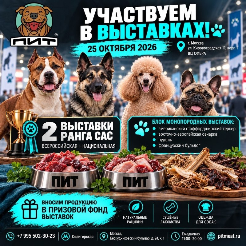 Фото из новости
