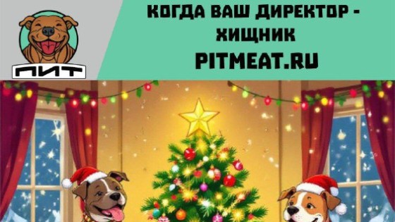 График работы в праздники 🐶🎄☃️