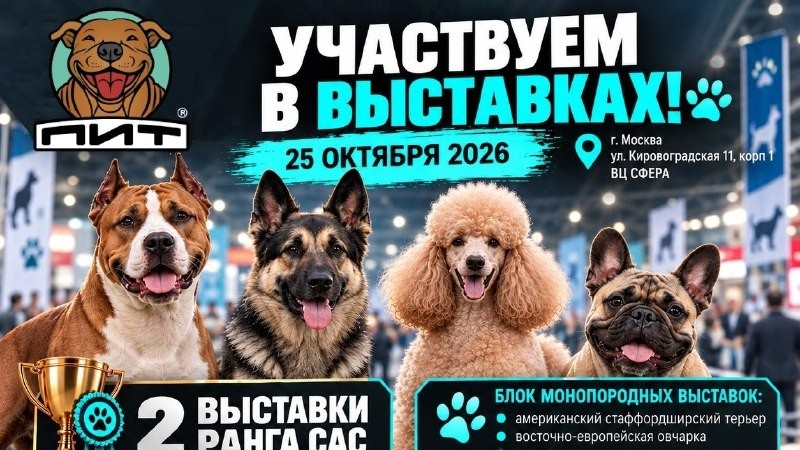 🐾 ПИТ УЧАСТВУЕТ В ВЫСТАВКАХ СОБАК! 🏆