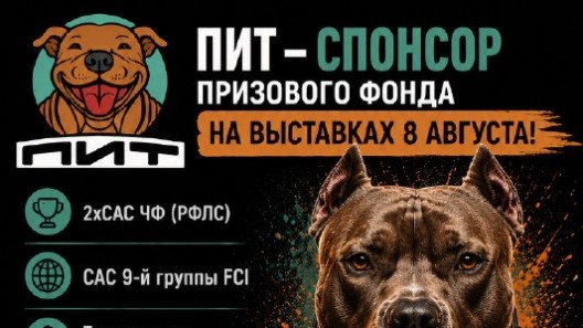 🐾 8 августа встречаемся в Балашихе!