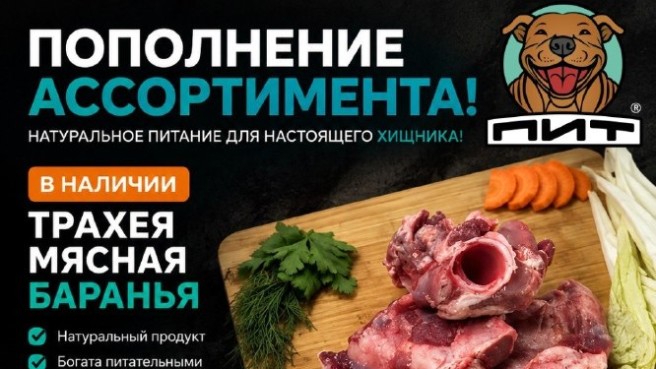 🥩 ДОЛГОЖДАННОЕ ПОПОЛНЕНИЕ ПИТ!