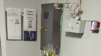 Кому весеннего настроения?  Заходите в гости, разделите с нами этот праздник! 🍬💐🐶