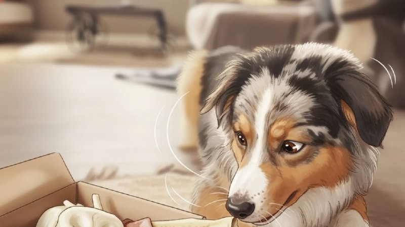 🐶🦴 Сушёные лакомства уже в продаже!