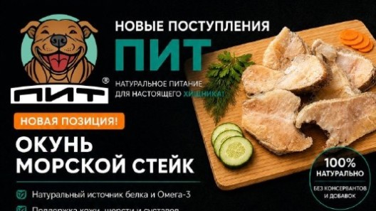 🐟 НОВИНКА В ПИТ — ОКУНЬ МОРСКОЙ, СТЕЙК!