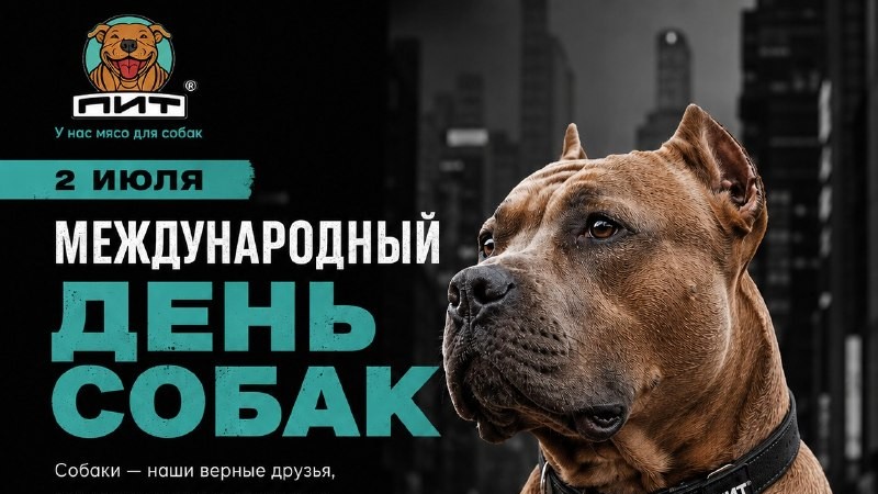 🐶 2 июля — Международный день собак! ❤️