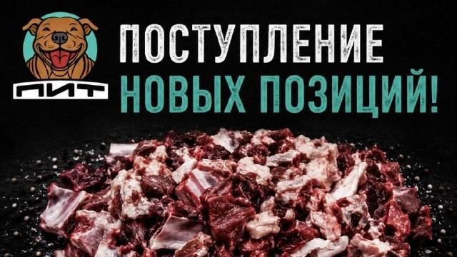 🔥 Поступление новых позиций в ПИТ!