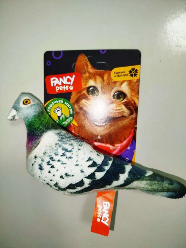 Фото из новости