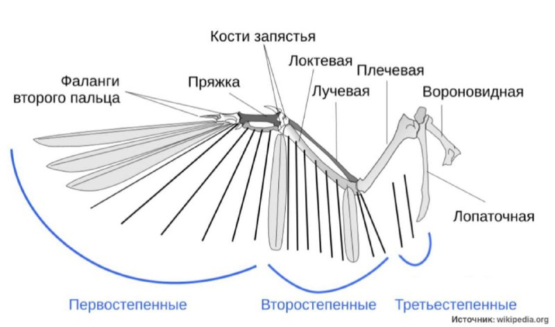 Фото из новости