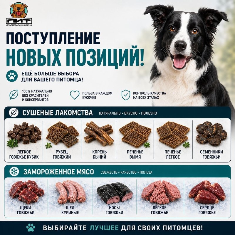 Фото из новости