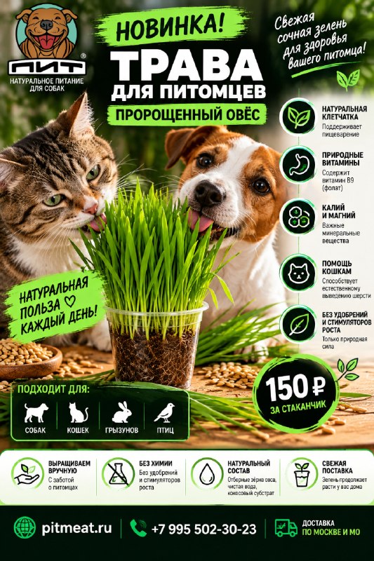 Фото из новости