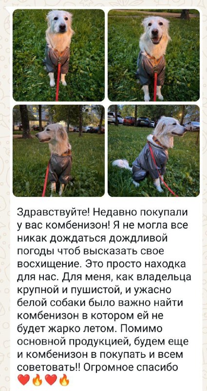 Фото из новости