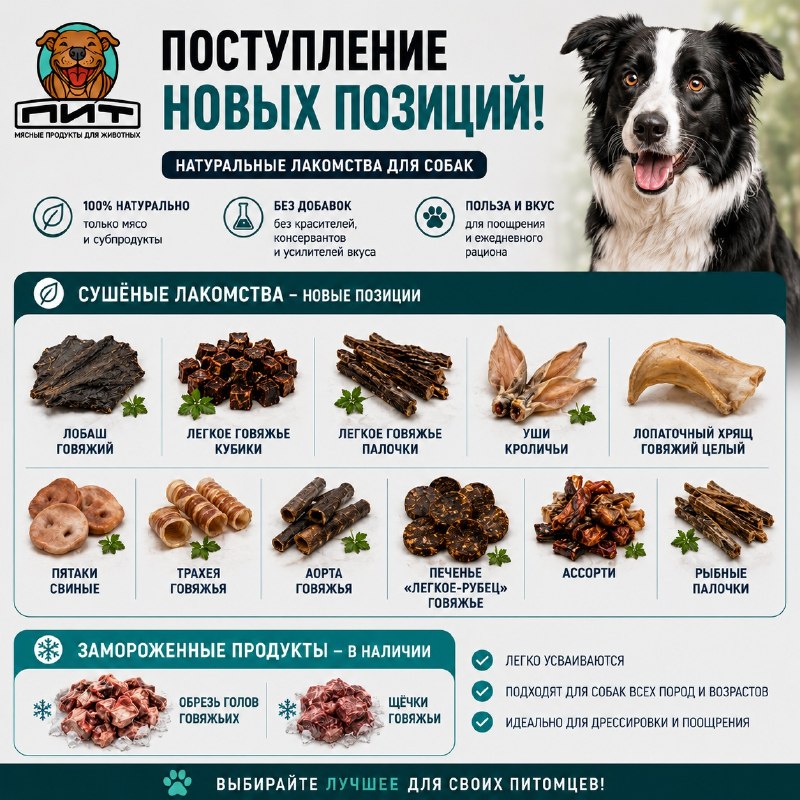 Фото из новости