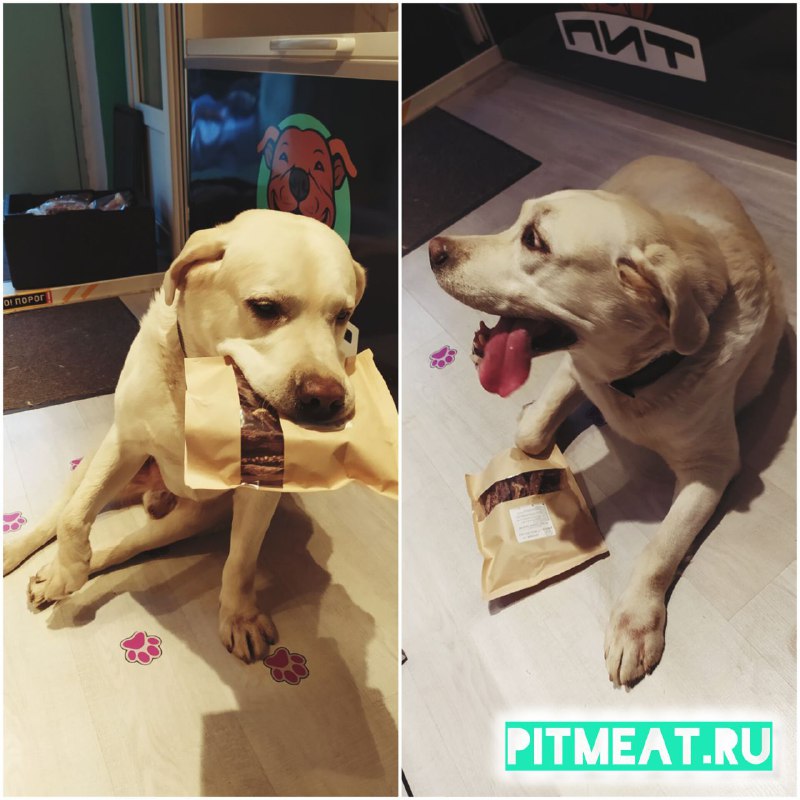Фото из новости
