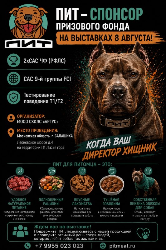 Фото из новости