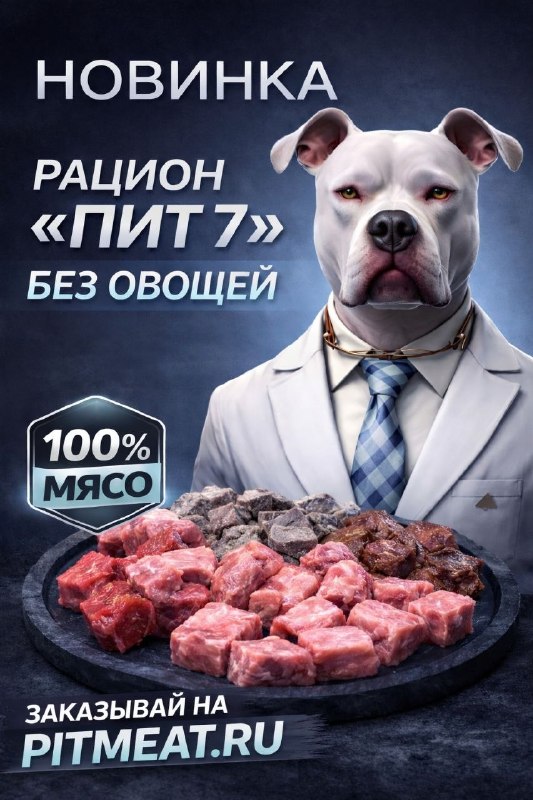 Фото из новости