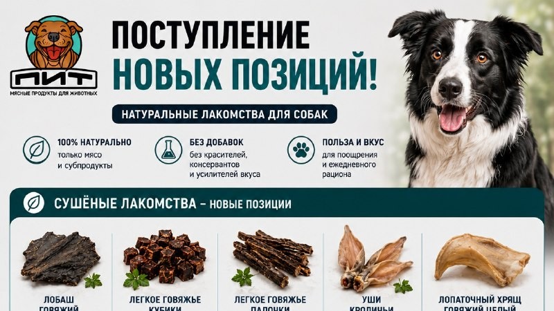 🔥 Поступление новых сушёных лакомств и заморозки в ПИТ