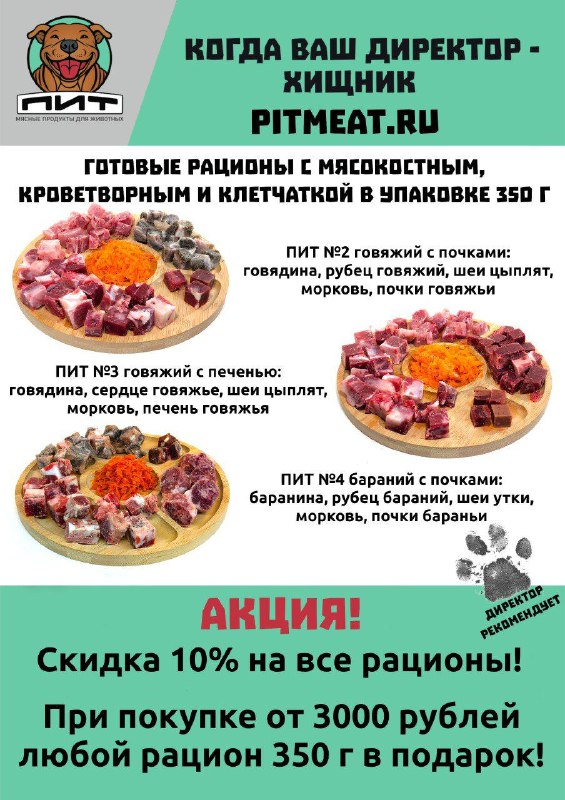 Фото из новости