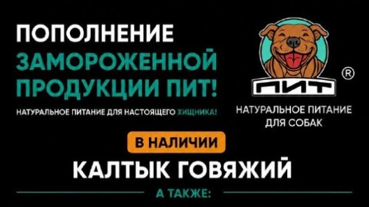 🥩 ПОПОЛНЕНИЕ ЗАМОРОЗКИ ПИТ!