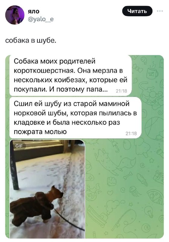 Фото из новости