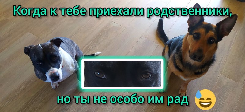 Фото из новости