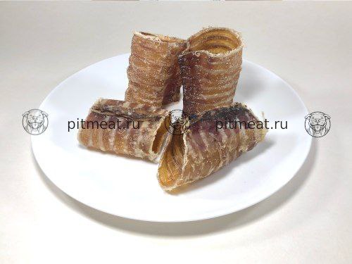 Фото из новости