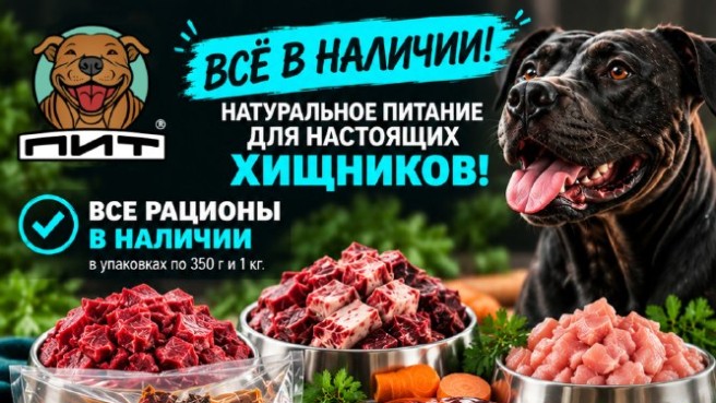 🔥 ВСЁ В НАЛИЧИИ В ПИТ!