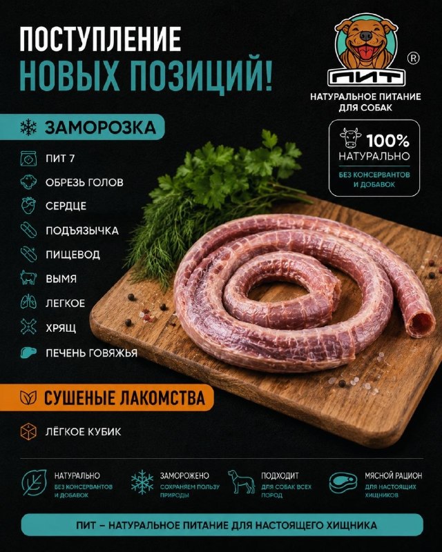 Фото из новости