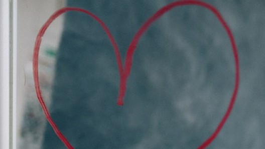 Каждый день мы видим свое отражение в зеркалах, витринах. А как же собаки, видят ли они свое отражение? 🧐🧐🧐